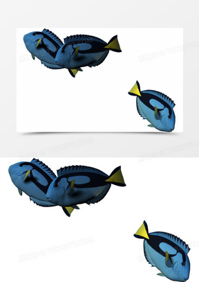 288x407