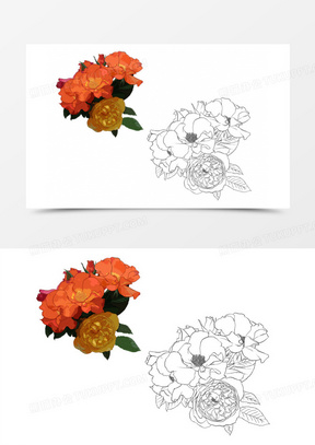 石榴花素材 石榴花图片 石榴花素材图片下载 熊猫办公