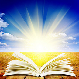 手绘卡通翻开的书本与几本书素材