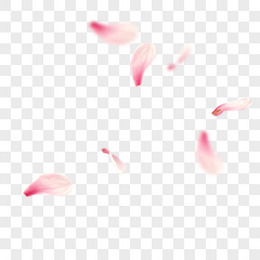 花瓣插画透明花瓣png图片素材免费下载 素材png 1968 3300像素 熊猫办公