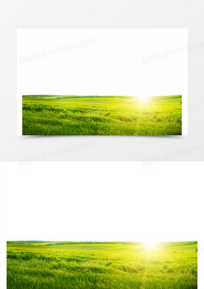 美丽的草原素材 美丽的草原图片 美丽的草原免费模板下载 熊猫办公