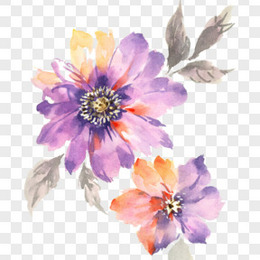 手绘水彩紫色花png图片素材下载 手绘png 熊猫办公