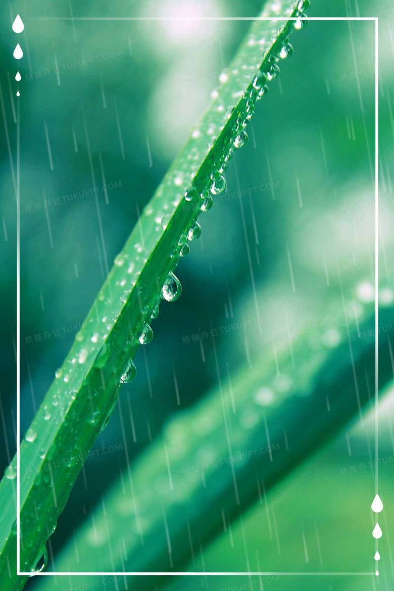 谷雨节气绿色植物雨水唯美摄影图合成背景背景图片素材免费下载 摄影背景 2362 3543像素 熊猫办公