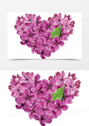 盆栽花图片及名称大全 288x407