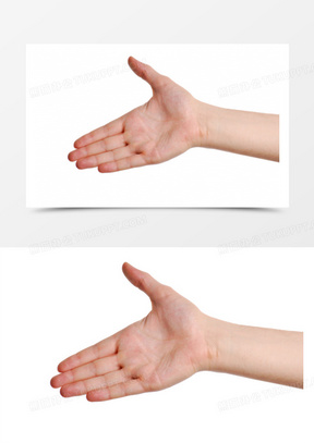 右手素材_右手图片_右手素材图片下载_熊猫办公