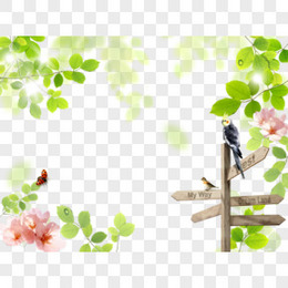 透明背景图图片素材 透明背景图png设计图片下载 熊猫办公