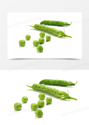 288x407