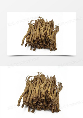 中草药图片大全名称 288x407