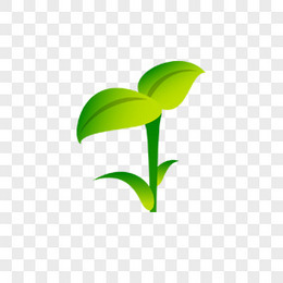 绿色豆苗png图片素材免费下载 绿色png 169 1像素 熊猫办公