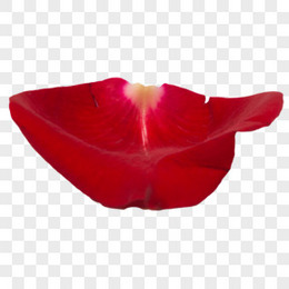 一片花瓣png图片素材免费下载 花瓣png 124 95像素 熊猫办公