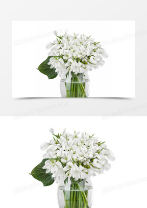 白色花素材 白色花图片 白色花素材图片下载 熊猫办公