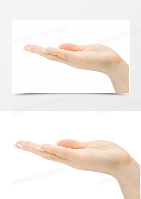 右手素材_右手图片_右手素材图片下载_熊猫办公