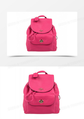 Coach素材 Coach图片 Coach素材图片下载 熊猫办公