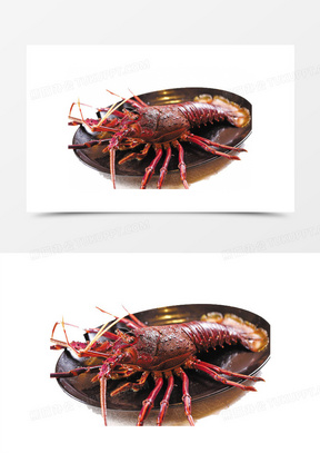 澳洲大龙虾怎么杀最快 288x407