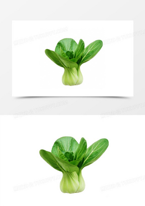 上海青素材 上海青图片 上海青素材图片下载 熊猫办公