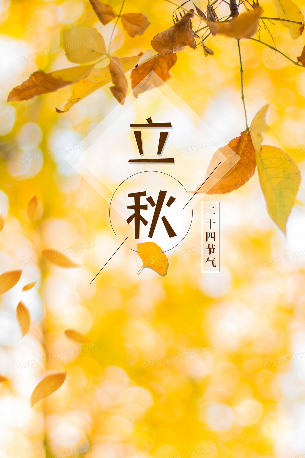 简约风立秋金秋背景背景图片素材免费下载_熊猫办公
