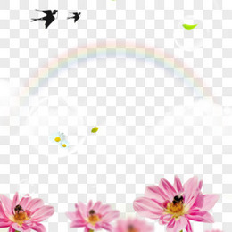 夏日背景图片 夏日背景素材 夏日背景png大全下载 熊猫办公