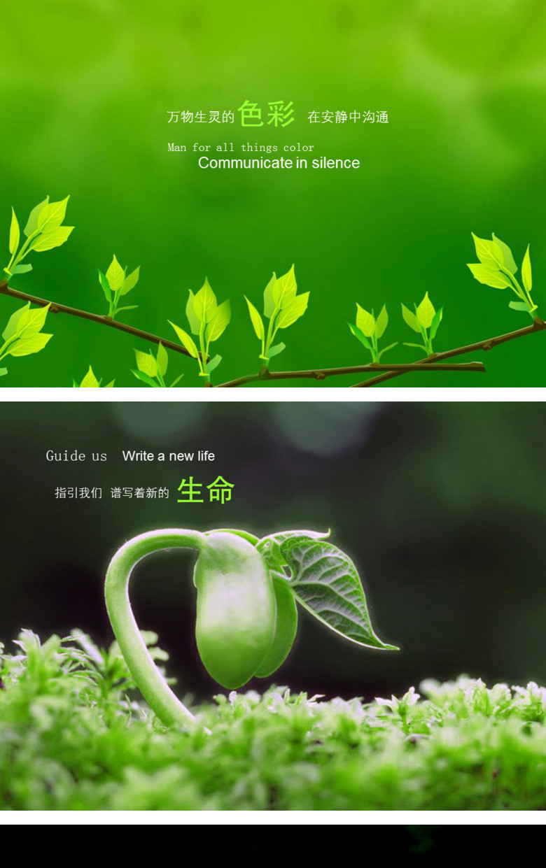 美丽绿色大自然ppt背景图片