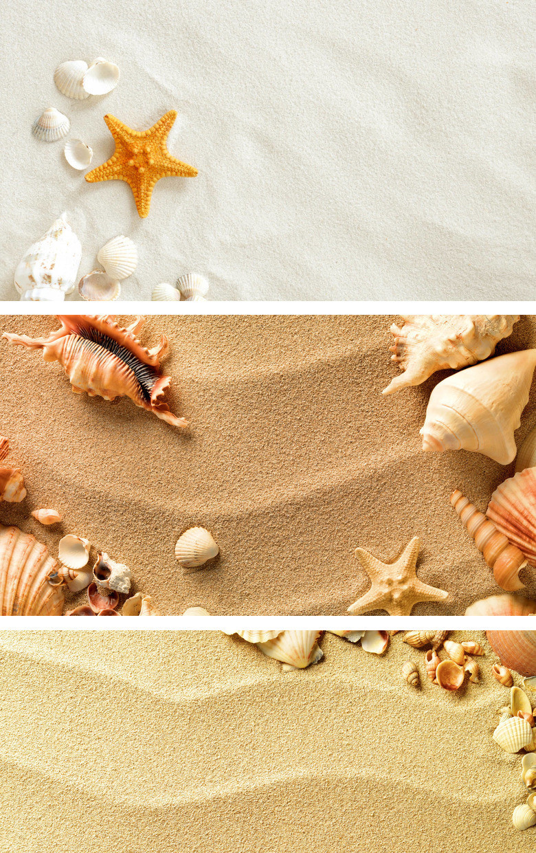 沙滩海星贝壳幻灯片背景图片