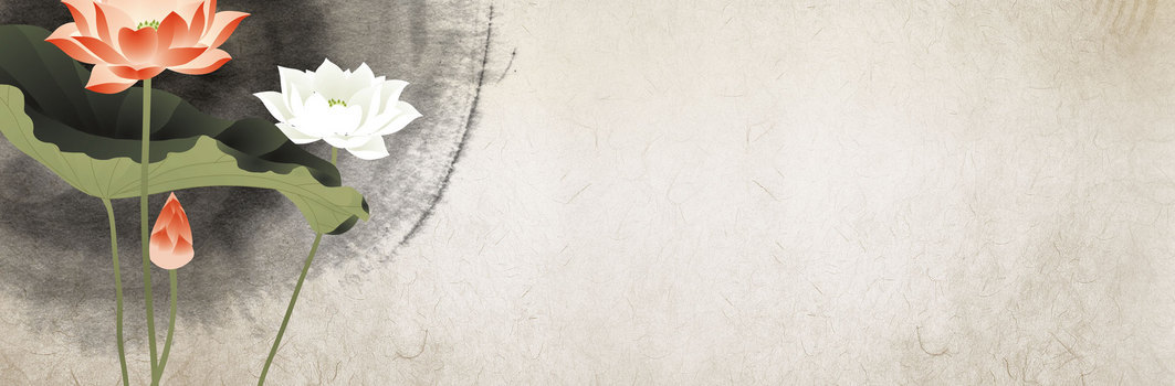 清新背景荷花素雅清新