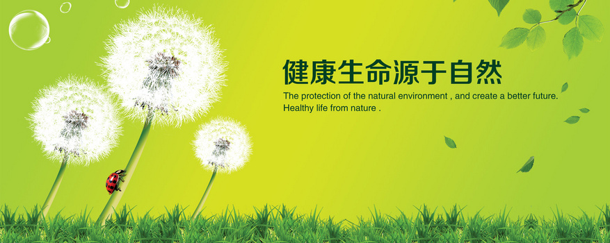 自然清新背景图片大全 自然清新背景素材下载 熊猫办公