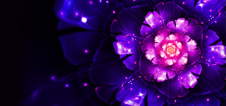 紫色花背景图片大全 紫色花背景素材下载 熊猫办公