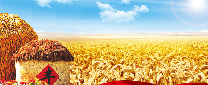 ũҵũƷȷbanner