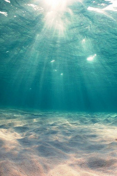 1920 x 900格式: jpgjpg夏天海滩像素:1920 x 600格式: jpgjpg唯美