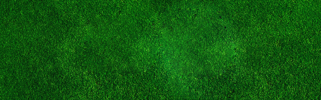 绿草地海报背景