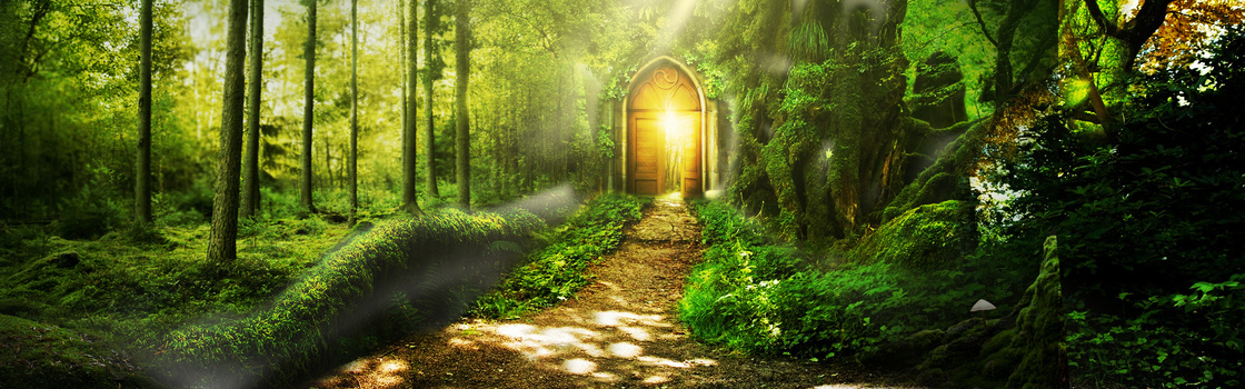 梦幻森林背景图片大全 梦幻森林背景素材下载 熊猫办公