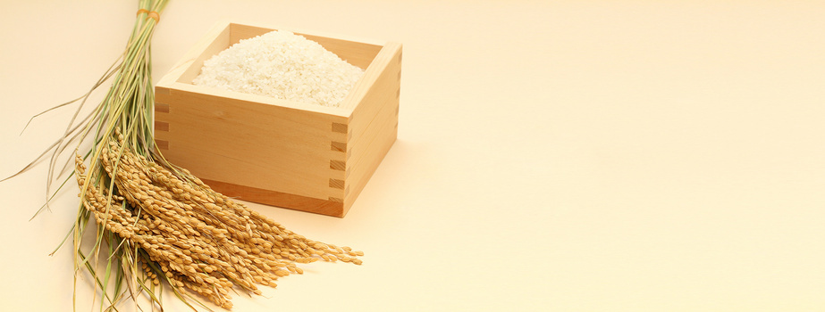 美食大米banner背景背景图片素材免费下载_熊猫办公