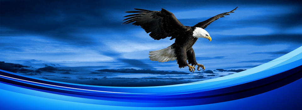 雄鹰展翅企业文化