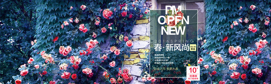 蔷薇背景图片大全 蔷薇背景素材下载 熊猫办公