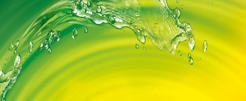 清新色茶叶背景