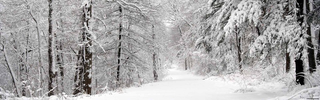 雪宝背景图片大全 雪宝背景素材下载 熊猫办公