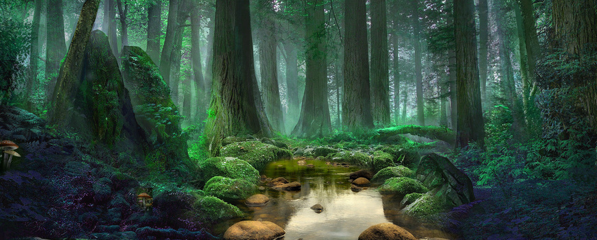 森林梦幻背景