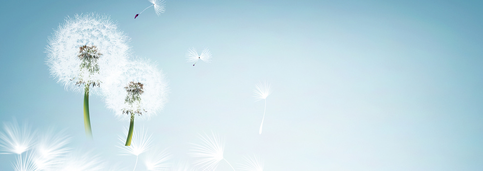 唯美清新背景背景图片素材免费下载_熊猫办公