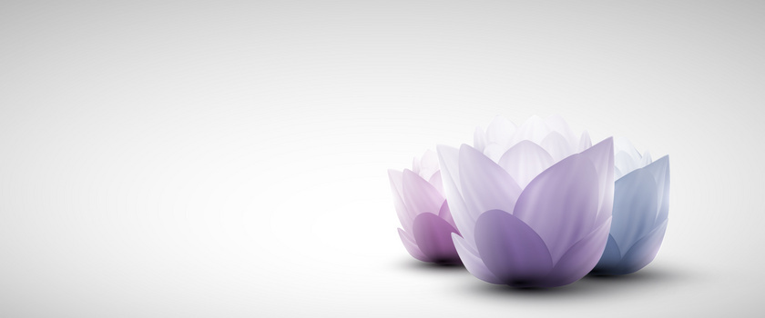 浪漫女性柔美背景