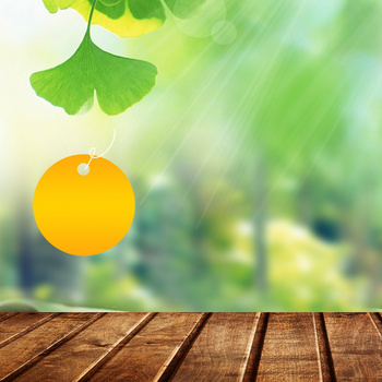 葡萄酒香槟清新绿色渐变主图背景图片素材免费下载_熊猫办公