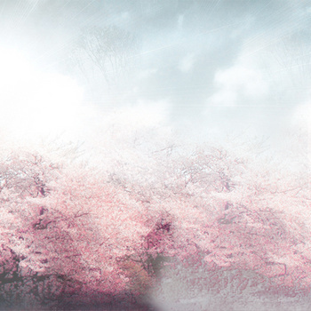 春天景色背景图片大全 春天景色背景素材下载 熊猫办公