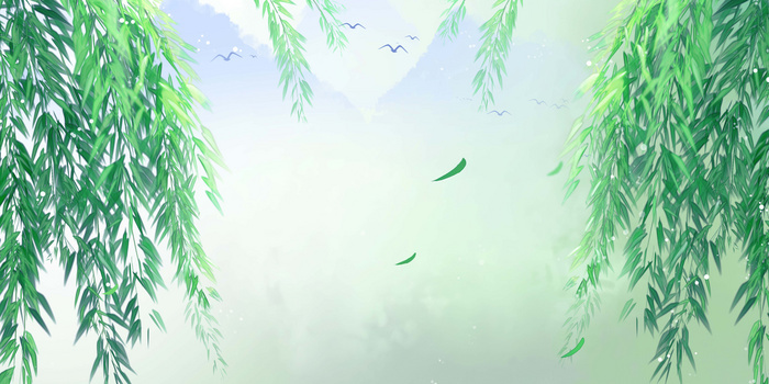 柳树柳条清新文艺插画背景