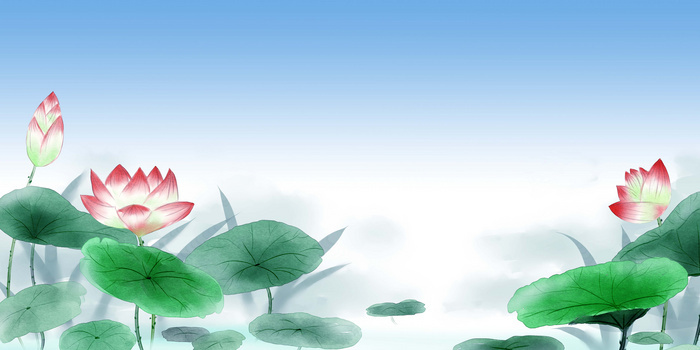 荷花鱼塘中国风插画展板背景