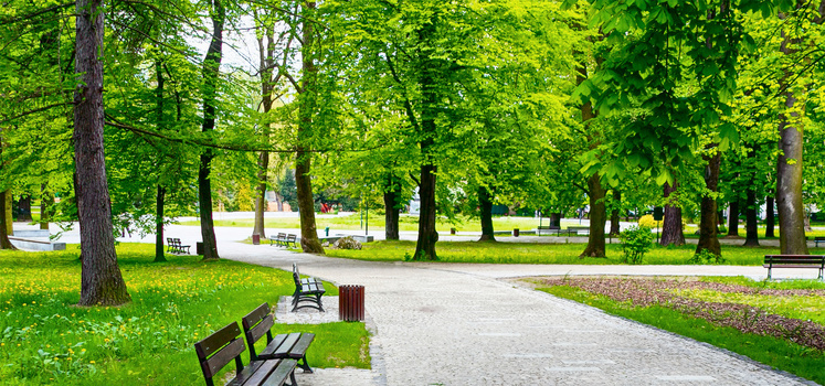 公园背景图片大全 公园背景素材下载 熊猫办公 公园背景图片大全 公园背景素材下载 熊猫办公