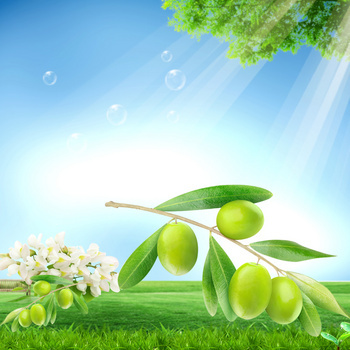 小清新蓝天绿叶水果背景