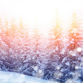 高清唯美夢幻冬季雪景直通車背景