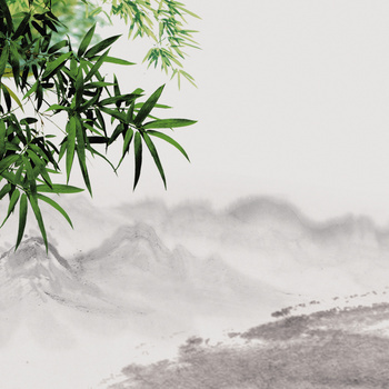 竹叶背景图片大全 竹叶背景素材下载 熊猫办公