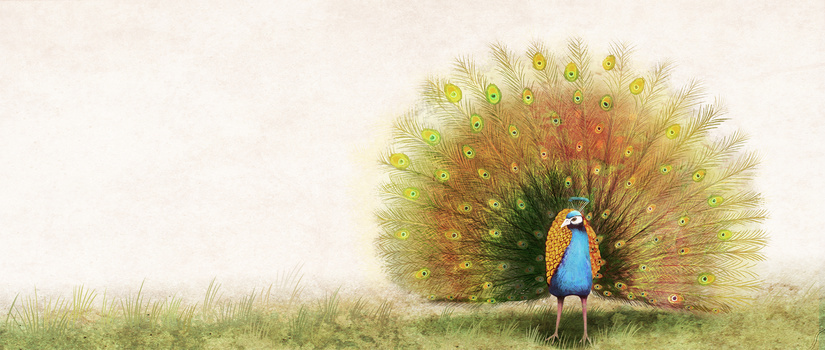 孔雀剪影背景