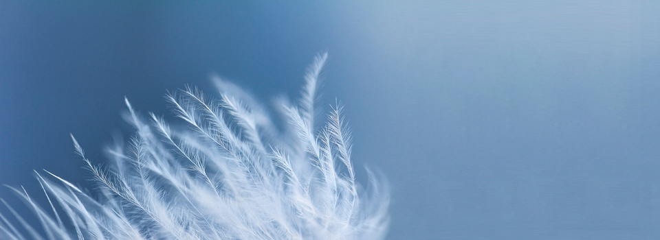 羽绒背景图片大全_羽绒背景素材下载_熊猫办公