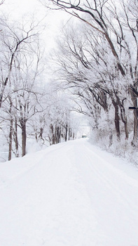 冬天下雪背景