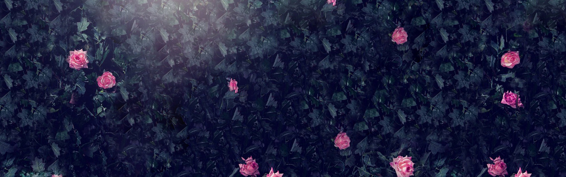 夏花背景图片大全 夏花背景素材下载 熊猫办公